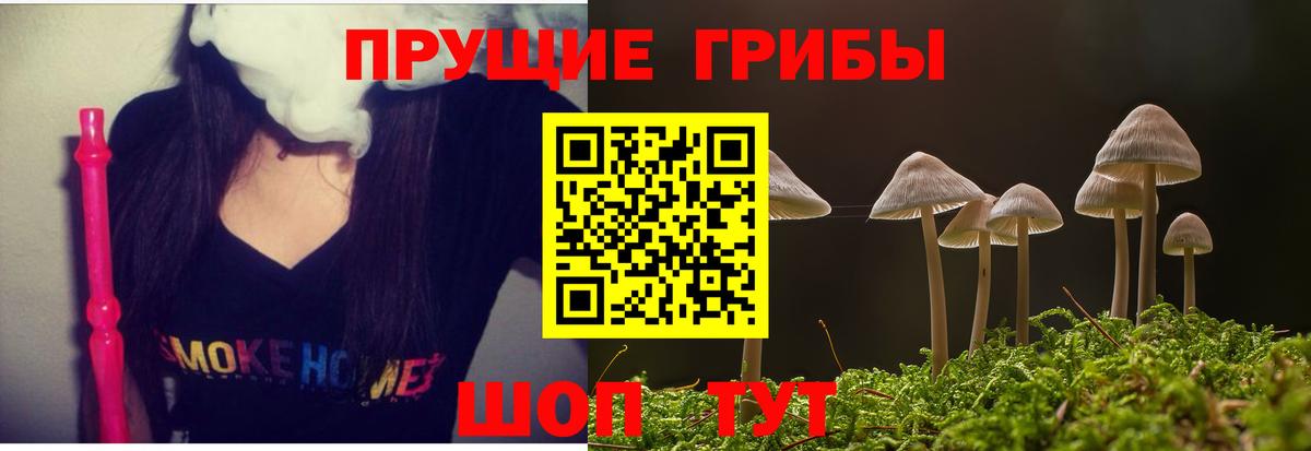 купить наркоту  Вход с VPN  Альметьевск  Галлюциногенные грибы Psilocybe 